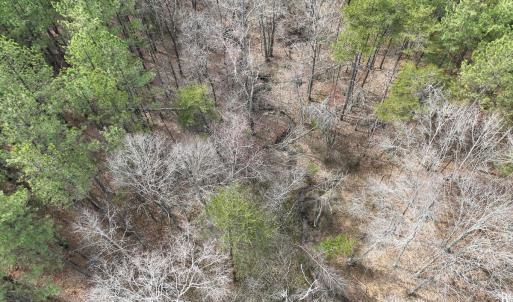 Photo #13 of Off Virginia Mill Rd, Arvonia, VA 58.8 acres