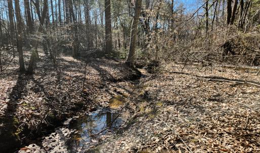 Photo #14 of Off Virginia Mill Rd, Arvonia, VA 58.8 acres