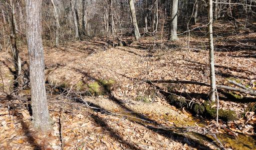 Photo #16 of Off Virginia Mill Rd, Arvonia, VA 58.8 acres