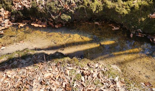 Photo #18 of Off Virginia Mill Rd, Arvonia, VA 58.8 acres
