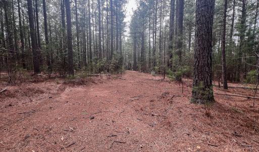 Photo #23 of Off Virginia Mill Rd, Arvonia, VA 58.8 acres