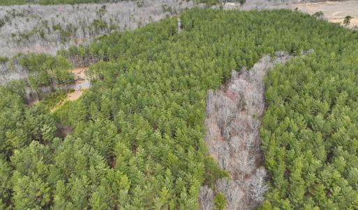 Photo #24 of Off Virginia Mill Rd, Arvonia, VA 58.8 acres