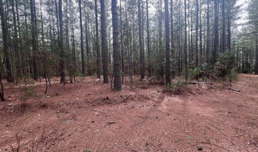 Photo #25 of Off Virginia Mill Rd, Arvonia, VA 58.8 acres