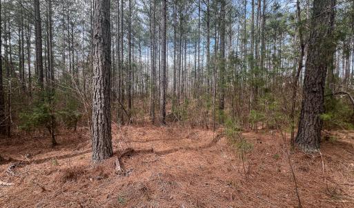Photo #27 of Off Virginia Mill Rd, Arvonia, VA 58.8 acres