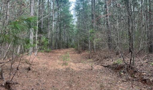 Photo #28 of Off Virginia Mill Rd, Arvonia, VA 58.8 acres