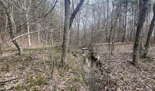 Photo #29 of Off Virginia Mill Rd, Arvonia, VA 58.8 acres