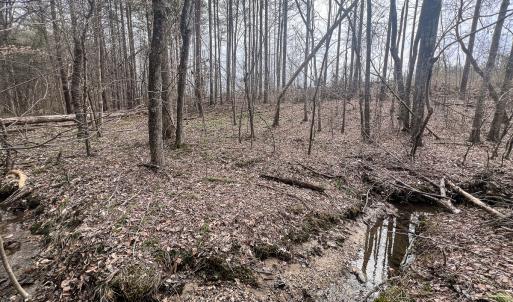 Photo #30 of Off Virginia Mill Rd, Arvonia, VA 58.8 acres