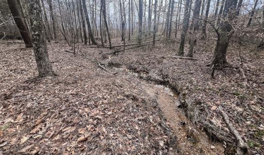 Photo #31 of Off Virginia Mill Rd, Arvonia, VA 58.8 acres