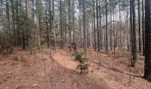 Photo #32 of Off Virginia Mill Rd, Arvonia, VA 58.8 acres