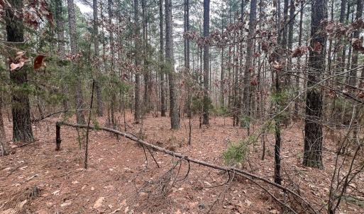 Photo #33 of Off Virginia Mill Rd, Arvonia, VA 58.8 acres