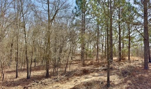 Photo #10 of Off Peachtree  Drive, Hamlet, NC 3.4 acres