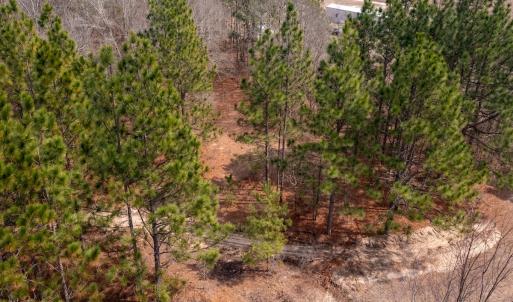 Photo #11 of Off Peachtree  Drive, Hamlet, NC 3.4 acres