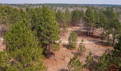 Photo #12 of Off Peachtree  Drive, Hamlet, NC 3.4 acres