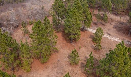 Photo #13 of Off Peachtree  Drive, Hamlet, NC 3.4 acres