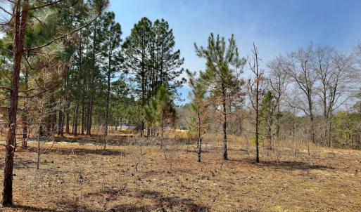 Photo #14 of Off Peachtree  Drive, Hamlet, NC 3.4 acres