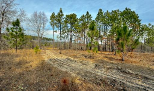 Photo #16 of Off Peachtree  Drive, Hamlet, NC 3.4 acres