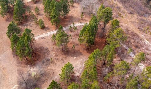 Photo #17 of Off Peachtree  Drive, Hamlet, NC 3.4 acres