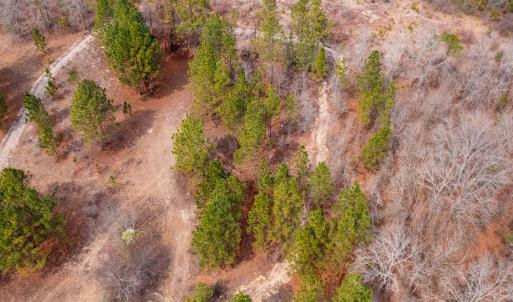 Photo #18 of Off Peachtree  Drive, Hamlet, NC 3.4 acres