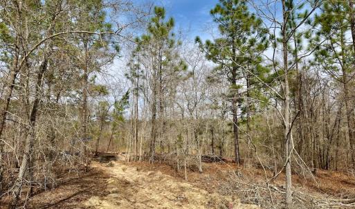 Photo #19 of Off Peachtree  Drive, Hamlet, NC 3.4 acres