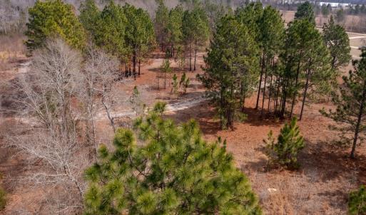Photo #1 of Off Peachtree  Drive, Hamlet, NC 3.4 acres