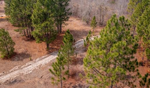 Photo #2 of Off Peachtree  Drive, Hamlet, NC 3.4 acres