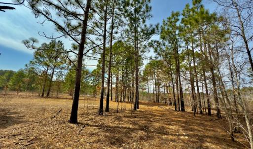 Photo #20 of Off Peachtree  Drive, Hamlet, NC 3.4 acres