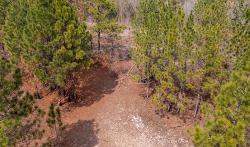 Photo #5 of Off Peachtree  Drive, Hamlet, NC 3.4 acres