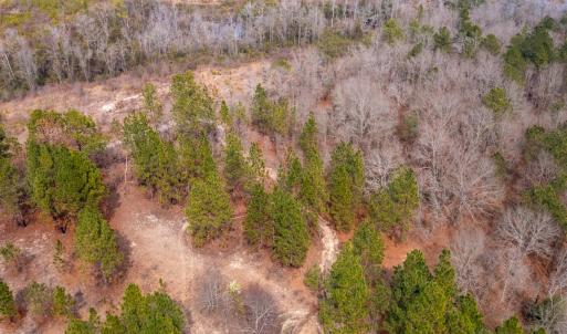 Photo #7 of Off Peachtree  Drive, Hamlet, NC 3.4 acres