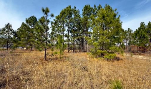 Photo #8 of Off Peachtree  Drive, Hamlet, NC 3.4 acres