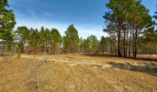 Photo #9 of Off Peachtree  Drive, Hamlet, NC 3.4 acres