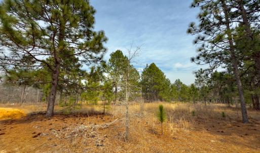 Photo #21 of Off Peachtree  Drive, Hamlet, NC 3.4 acres