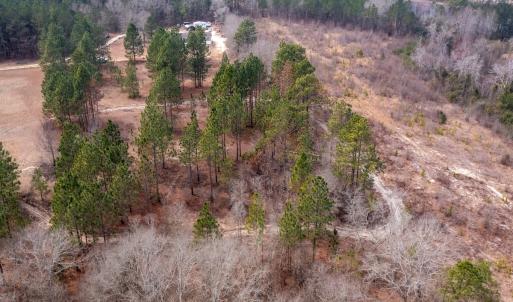 Photo #23 of Off Peachtree  Drive, Hamlet, NC 3.4 acres