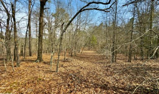 Photo #25 of Off Peachtree  Drive, Hamlet, NC 3.4 acres