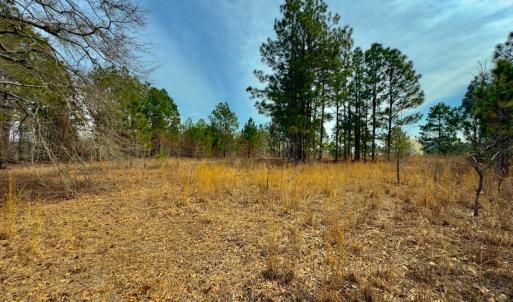Photo #26 of Off Peachtree  Drive, Hamlet, NC 3.4 acres