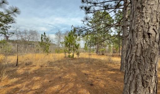 Photo #27 of Off Peachtree  Drive, Hamlet, NC 3.4 acres