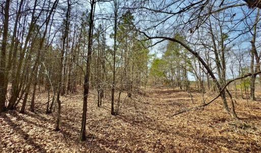 Photo #30 of Off Peachtree  Drive, Hamlet, NC 3.4 acres
