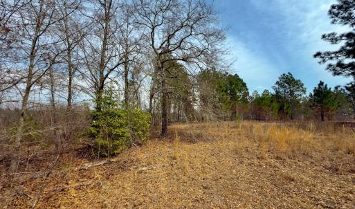Photo #32 of Off Peachtree  Drive, Hamlet, NC 3.4 acres