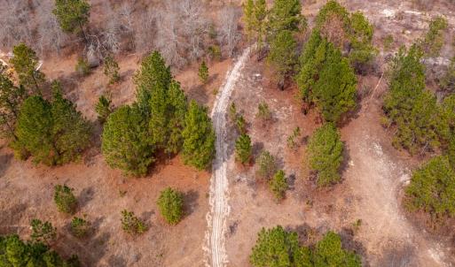 Photo #33 of Off Peachtree  Drive, Hamlet, NC 3.4 acres