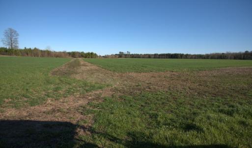 Photo #21 of 973 Mosely Road, Walstonburg, NC 204.2 acres