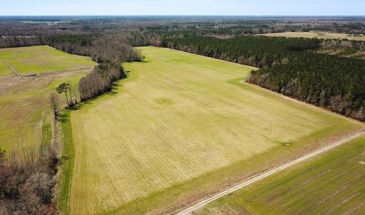 Photo #1 of Off Freeman Mill Rd, Whaleyville, VA 59.0 acres