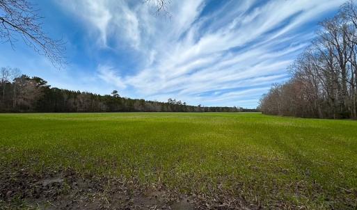 Photo #2 of Off Freeman Mill Rd, Whaleyville, VA 59.0 acres