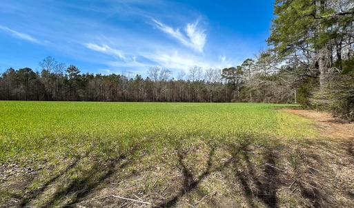 Photo #6 of Off Freeman Mill Rd, Whaleyville, VA 59.0 acres