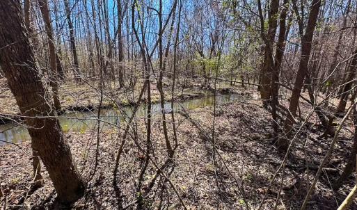 Photo #7 of Off Freeman Mill Rd, Whaleyville, VA 59.0 acres