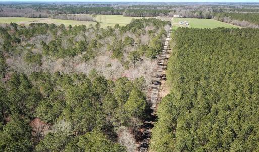 Photo #8 of Off Freeman Mill Rd, Whaleyville, VA 59.0 acres