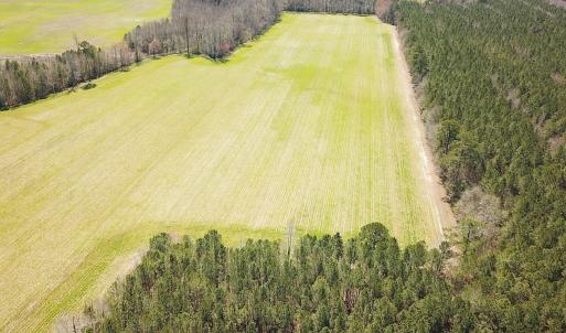 Photo #10 of Off Freeman Mill Rd, Whaleyville, VA 59.0 acres