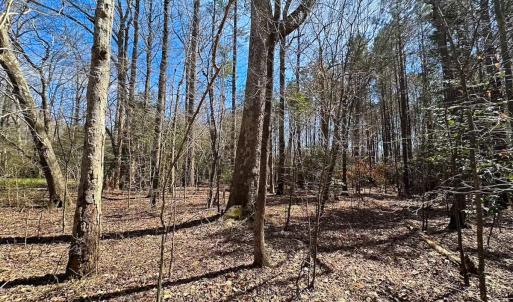 Photo #11 of Off Freeman Mill Rd, Whaleyville, VA 59.0 acres