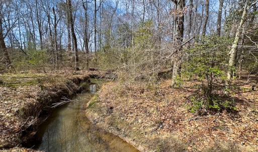 Photo #12 of Off Freeman Mill Rd, Whaleyville, VA 59.0 acres