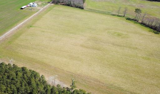 Photo #14 of Off Freeman Mill Rd, Whaleyville, VA 59.0 acres