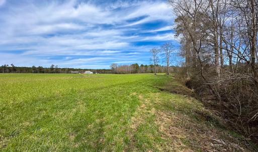 Photo #15 of Off Freeman Mill Rd, Whaleyville, VA 59.0 acres