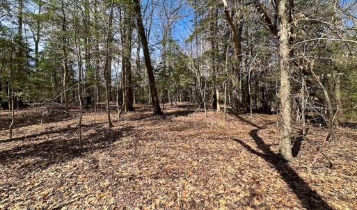Photo #16 of Off Freeman Mill Rd, Whaleyville, VA 59.0 acres